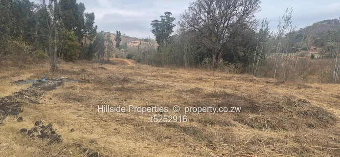 Carrick Creagh Estate land for sale  80usd per square (Sole Mandate)
