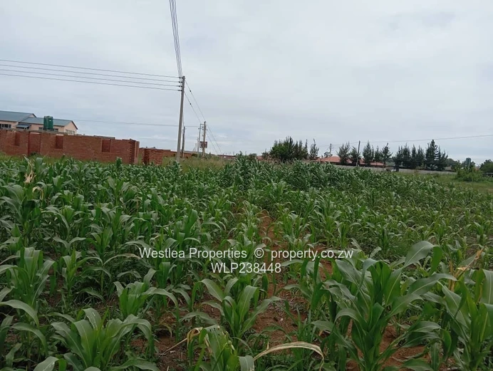 An opportunity not to miss