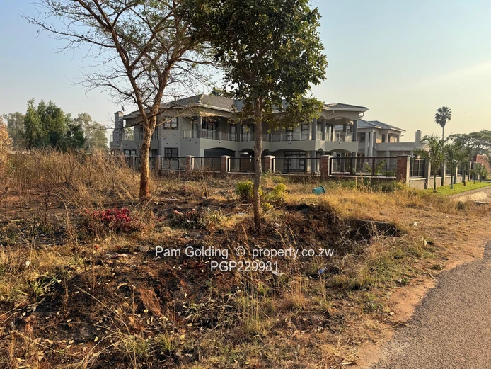 Arlington Low Density Stand For Sale