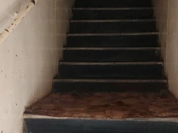 Shop & Retail Property