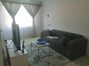 Flat & Apartment