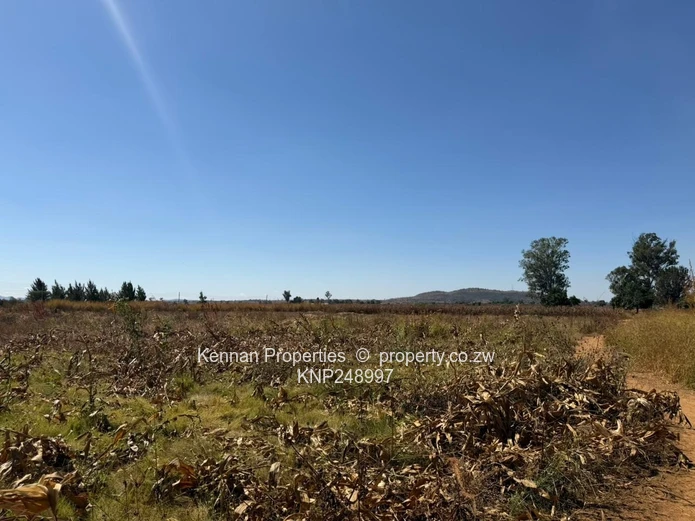 Expansive 65,234ha Mt Hampden Land — Open Veld & Views