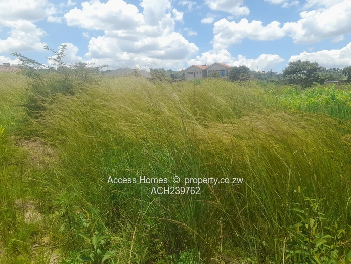 Crowhill Views  (Sole Mandate)