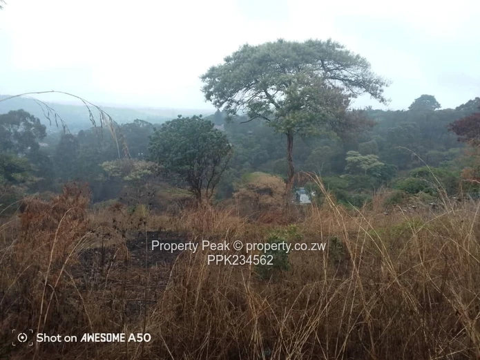 Helensvale Land For Sale