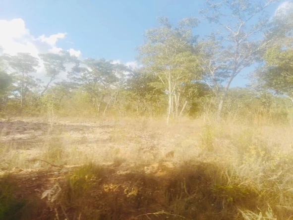 Farm & Agricultural Land