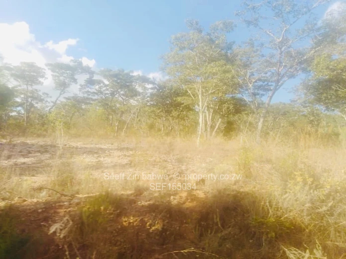 Experience The Nyanga Lifestyle, In Nature's Luxury