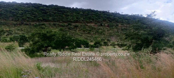 1.3ha Norton Hillside , Accessible