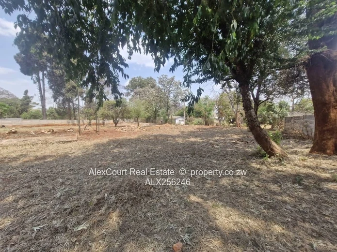 Premium Location Commercial Property
