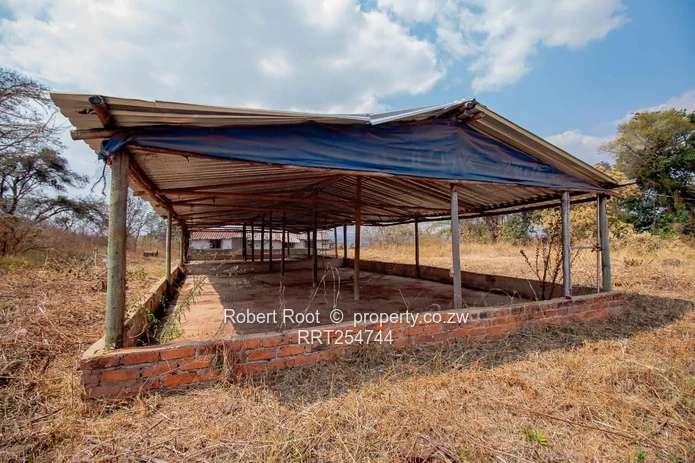 3 bed family home on a 3 hectare plot