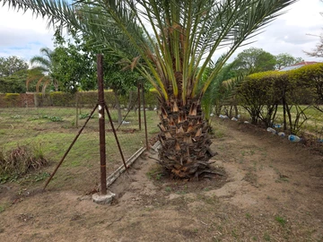 Stands & Residential Land