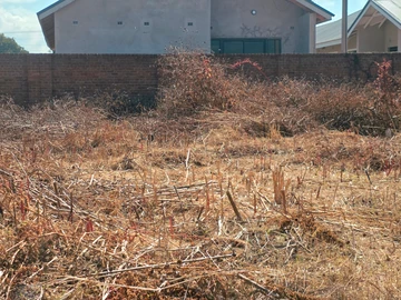Stands & Residential Land