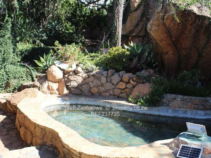 Executive Family Home