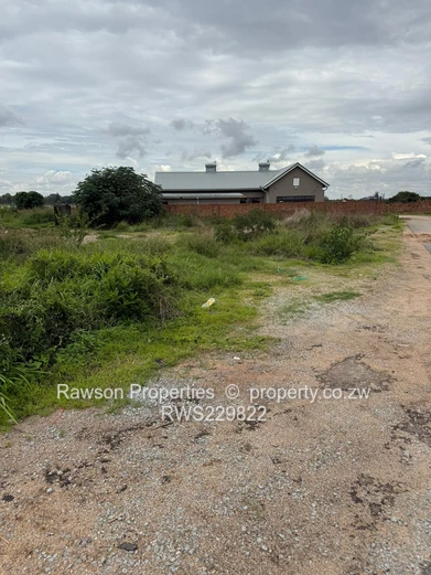 Investment opportunity!