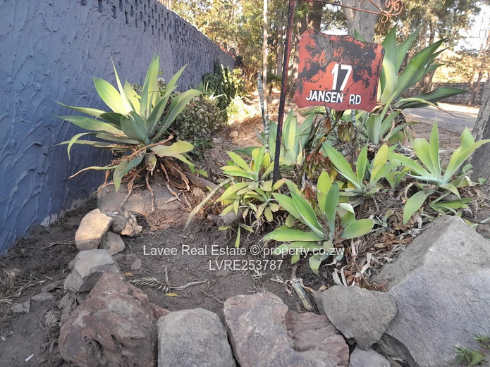 Lovely house for rent