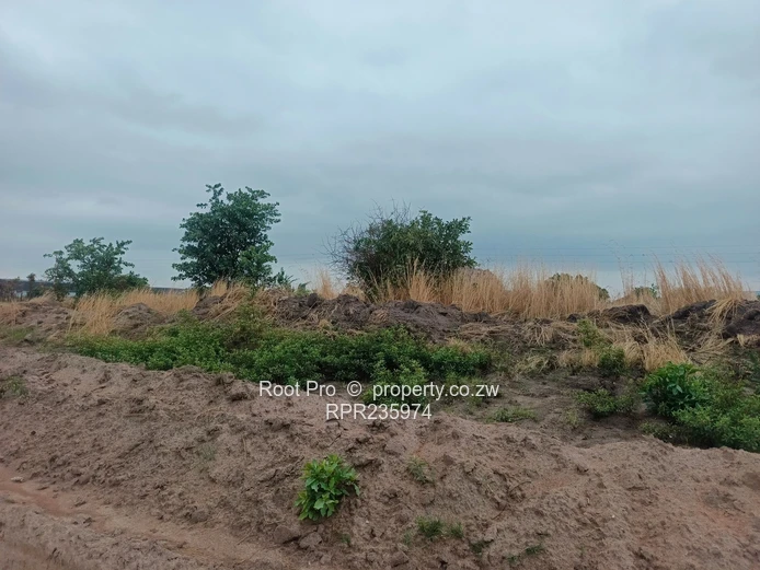 Rainfall Stand for Sale