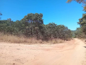 Farm & Agricultural Land