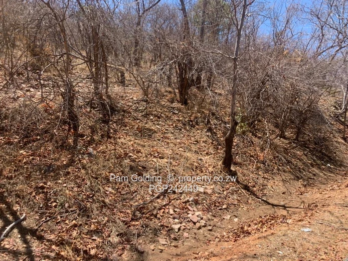 Kariba Heights Stand for Sale – Mushonga Ridge Road (Sole Mandate)
