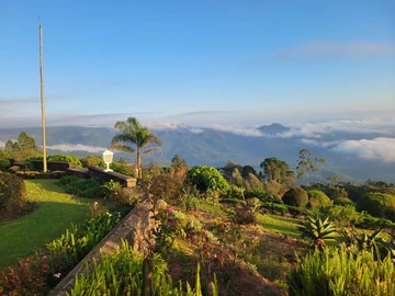 Farm & Agricultural Land