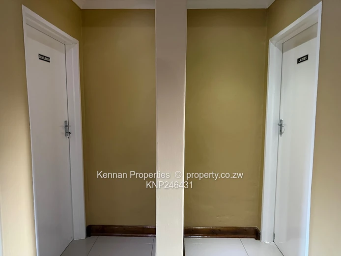 Spacious House in the Heart of New Alexandra Park