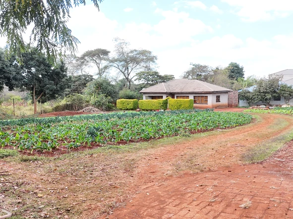 Stands & Residential Land