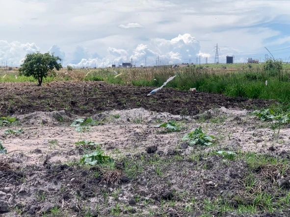 Commercial & Industrial Land