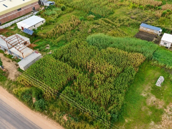 Commercial & Industrial Land