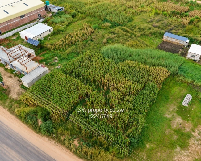 Damofalls 2,100m² Commercial Site — Tarred Main Road (Sole Mandate)