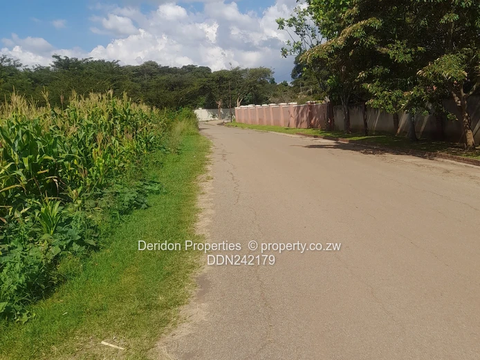 Build your dream home 