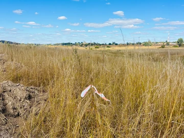 Land