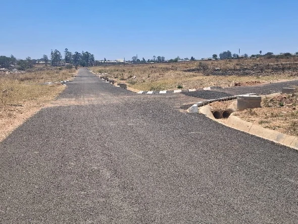 Stands & Residential Land