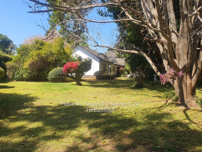 5 bedroom family home