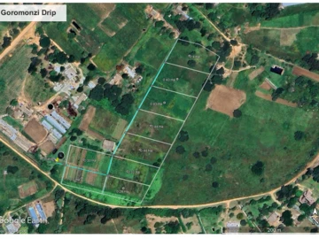 Farm & Agricultural Land