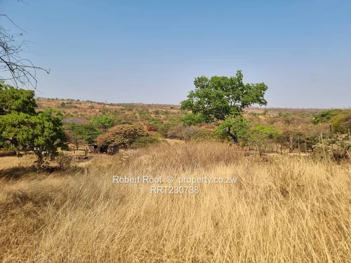 Glenforest Lifestyle Estate For Sale