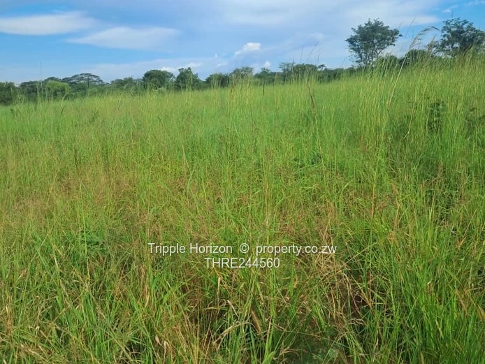 Kadoma mari Mari plot for sale 