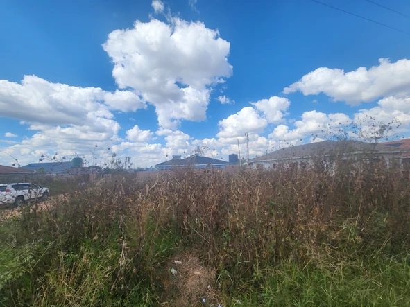 Stands & Residential Land