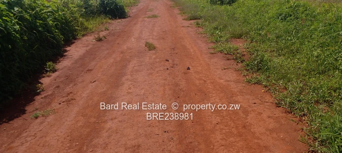 Medium Density Stands For Sale