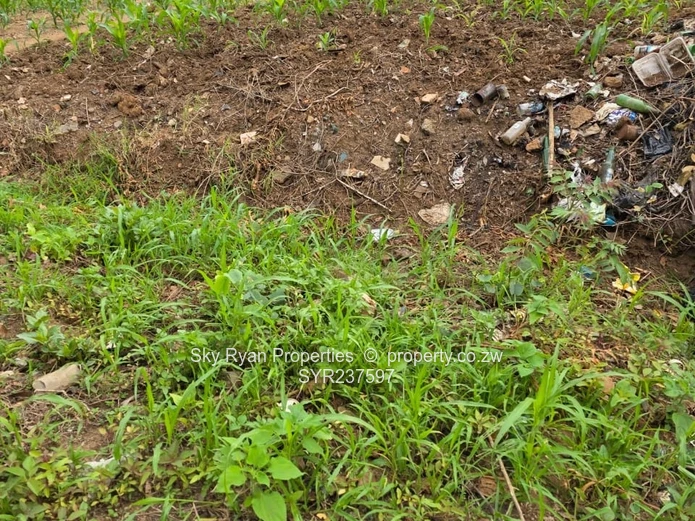 Mabelreign choice of 3 stands for sale 