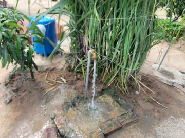 Stands & Residential Land