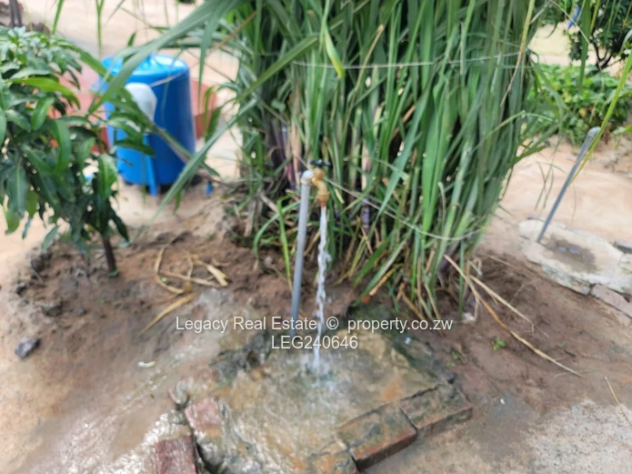 Neat 3 Bedroom Cottage With Borehole In Ushewokunze