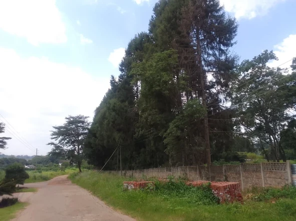 Stands & Residential Land