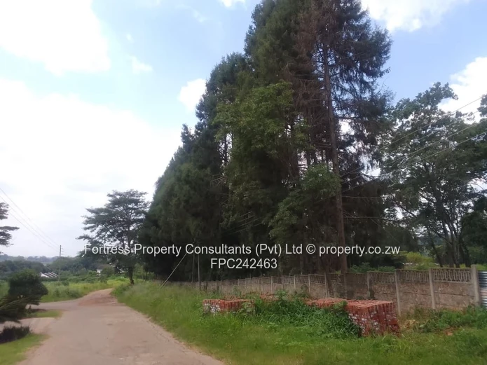 Land Bank- Quinnington