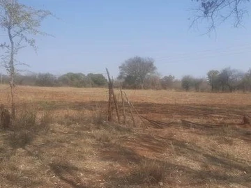 Farm & Agricultural Land