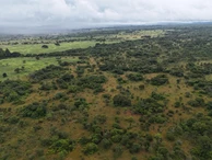 Farm & Agricultural Land