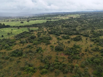 Farm & Agricultural Land