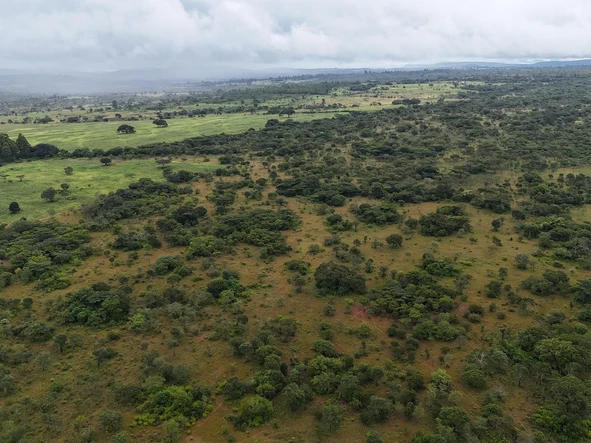 Farm & Agricultural Land