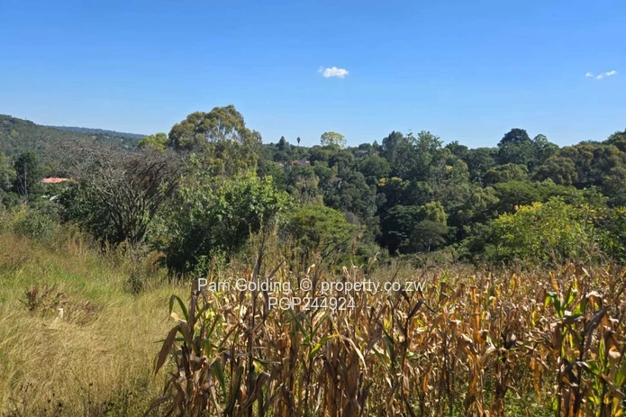 A Rare Hillside Sanctuary In Helensvale – 1.3 HA (Sole Mandate)
