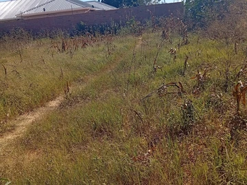 Commercial & Industrial Land
