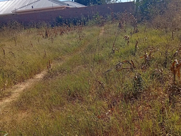 Commercial & Industrial Land