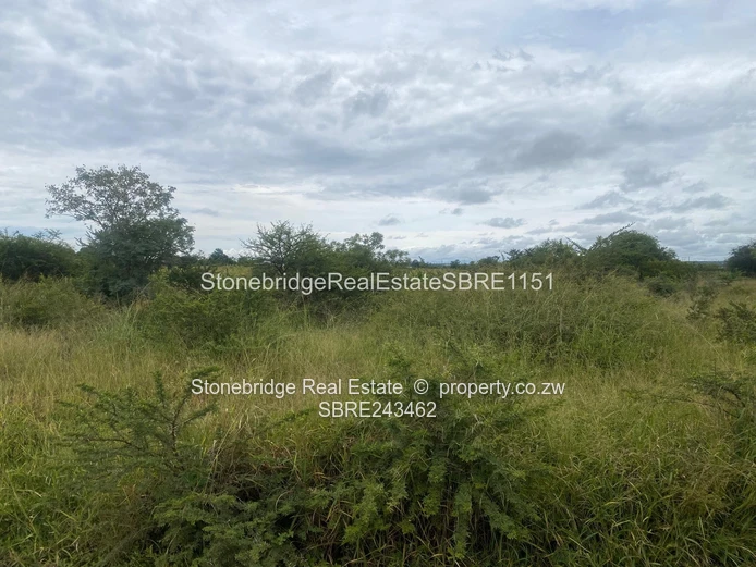 4 Acres Stand in Woodville Park for sale