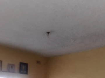 2 Bedroom Flat & Apartment